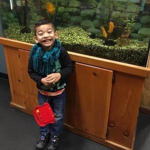 Meet your Posher, Radi